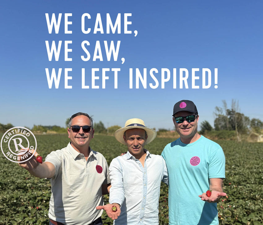 Rooted in Regenerative: Our Journey to Chile