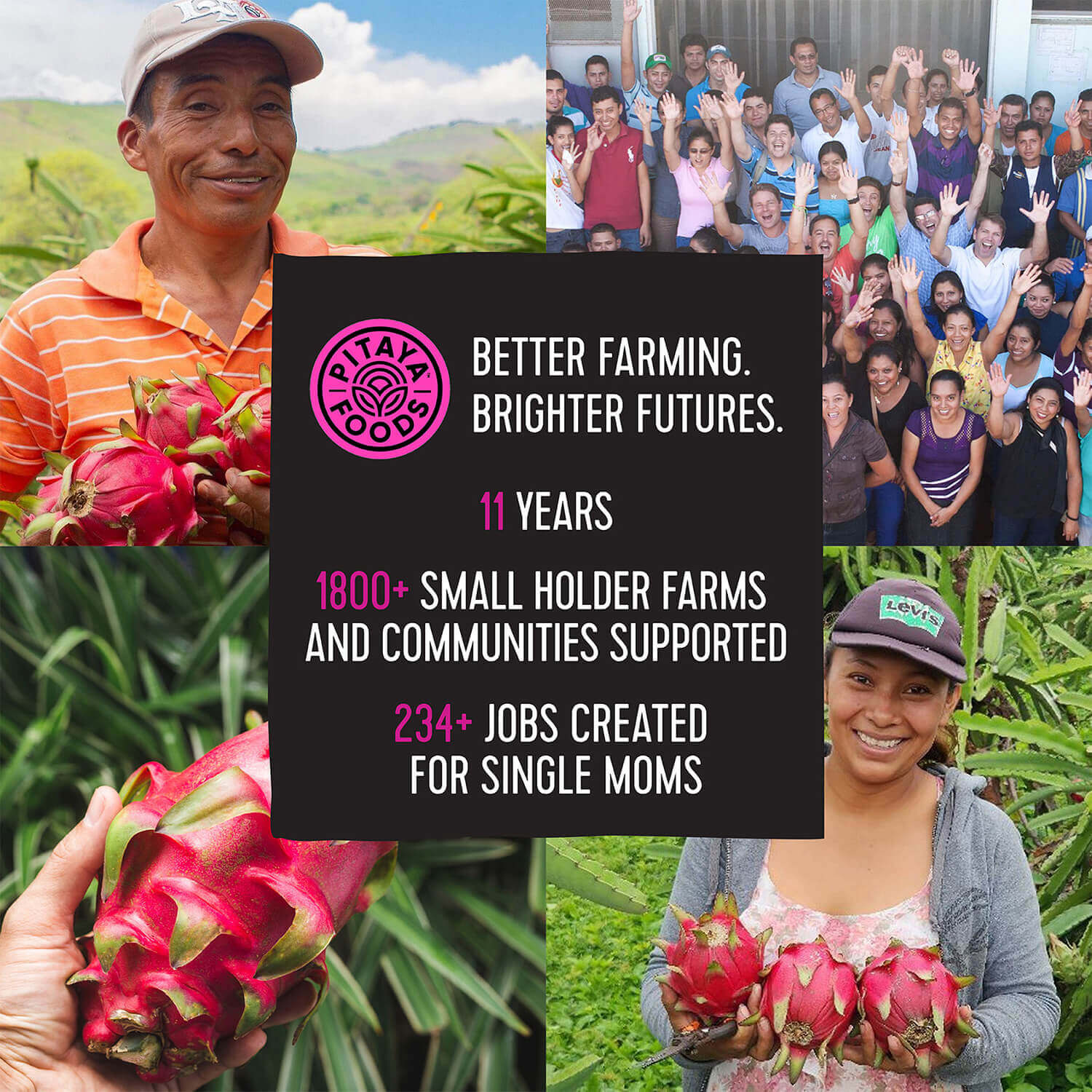 Natural Passion Fruit Snack-Sized Pieces 2Lb