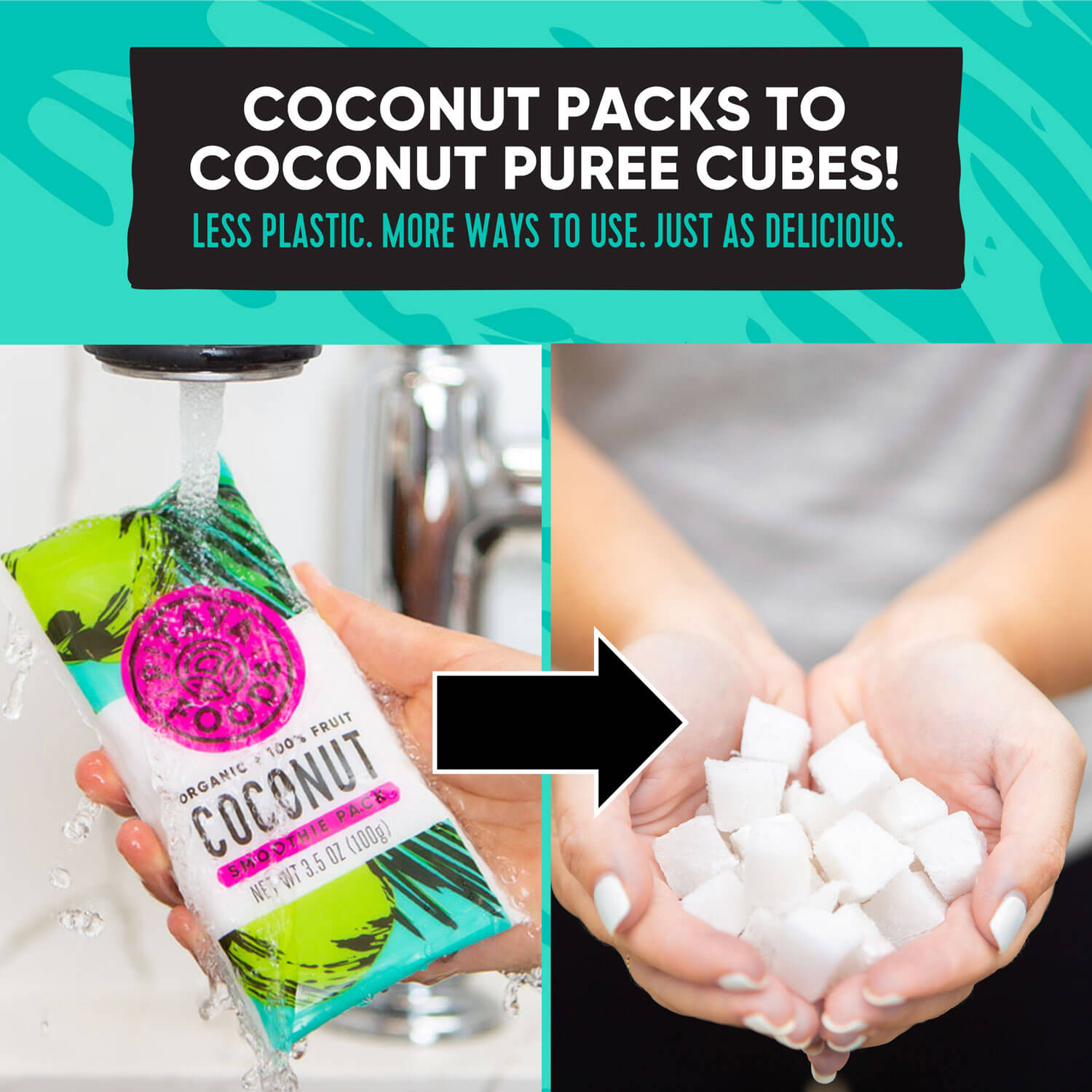 Organic Coconut Puree Cubes