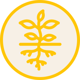 Minimal Soil Disturbance