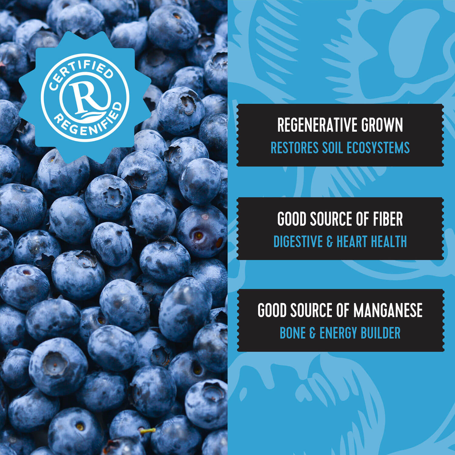 Regenerative Organic Blueberries