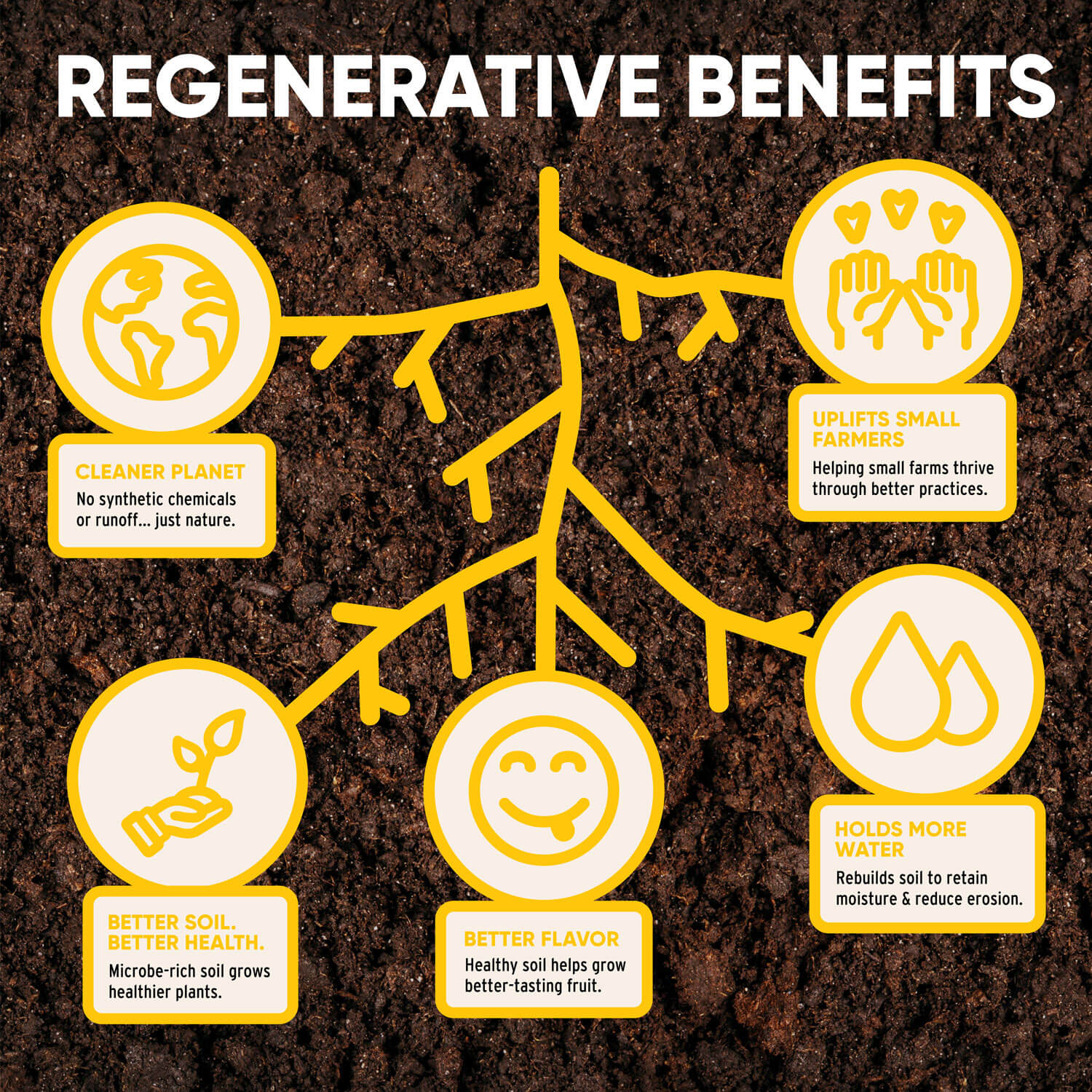 Regenerative Organic Blueberries