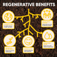 Regenerative Organic Strawberries