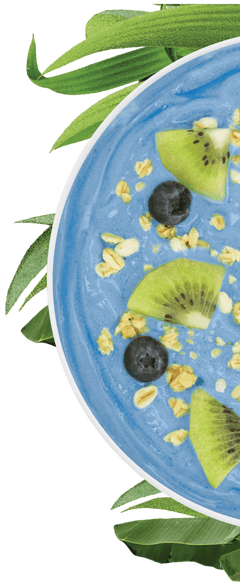 Pitaya Foods
