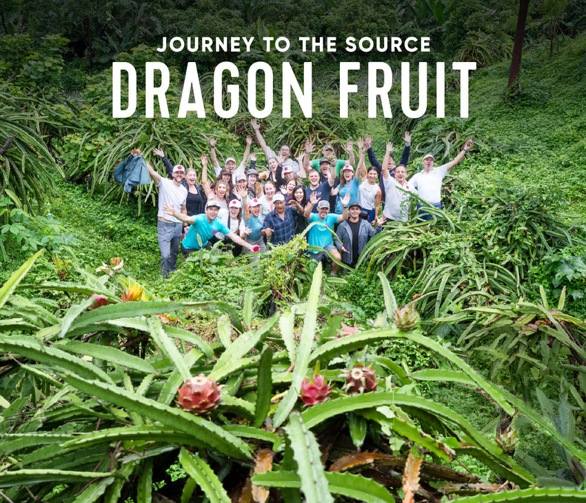 Journey to the Source: Dragon Fruit Farms in Nicaragua and Vietnam