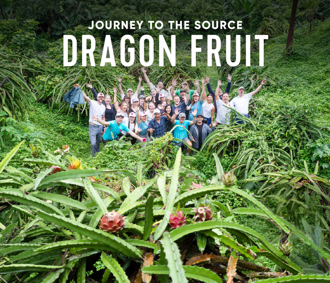 Journey to the Source: Dragon Fruit Farms in Nicaragua and Vietnam