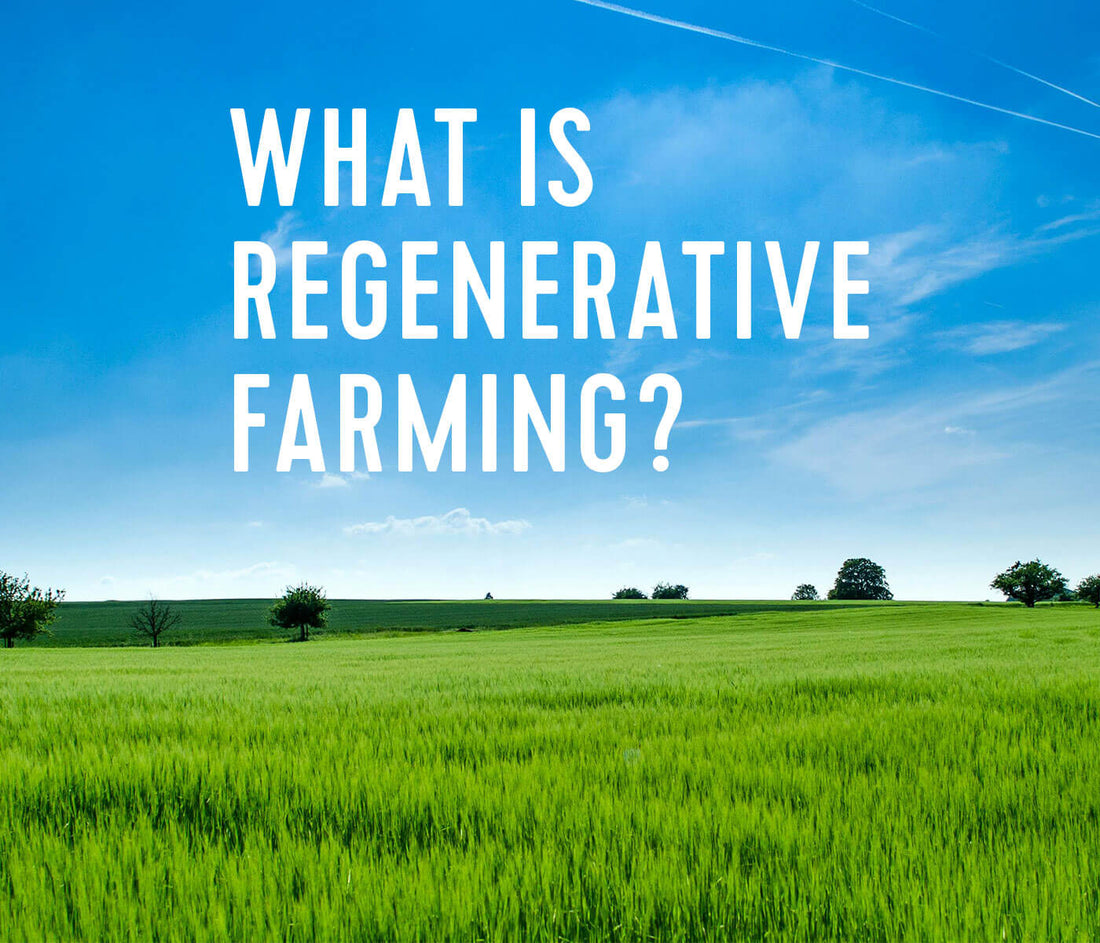 What Is Regenerative Farming? | Pitaya Foods