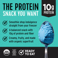 Organic Protein Coconut Blue Spirulina Smoothie Bowl
