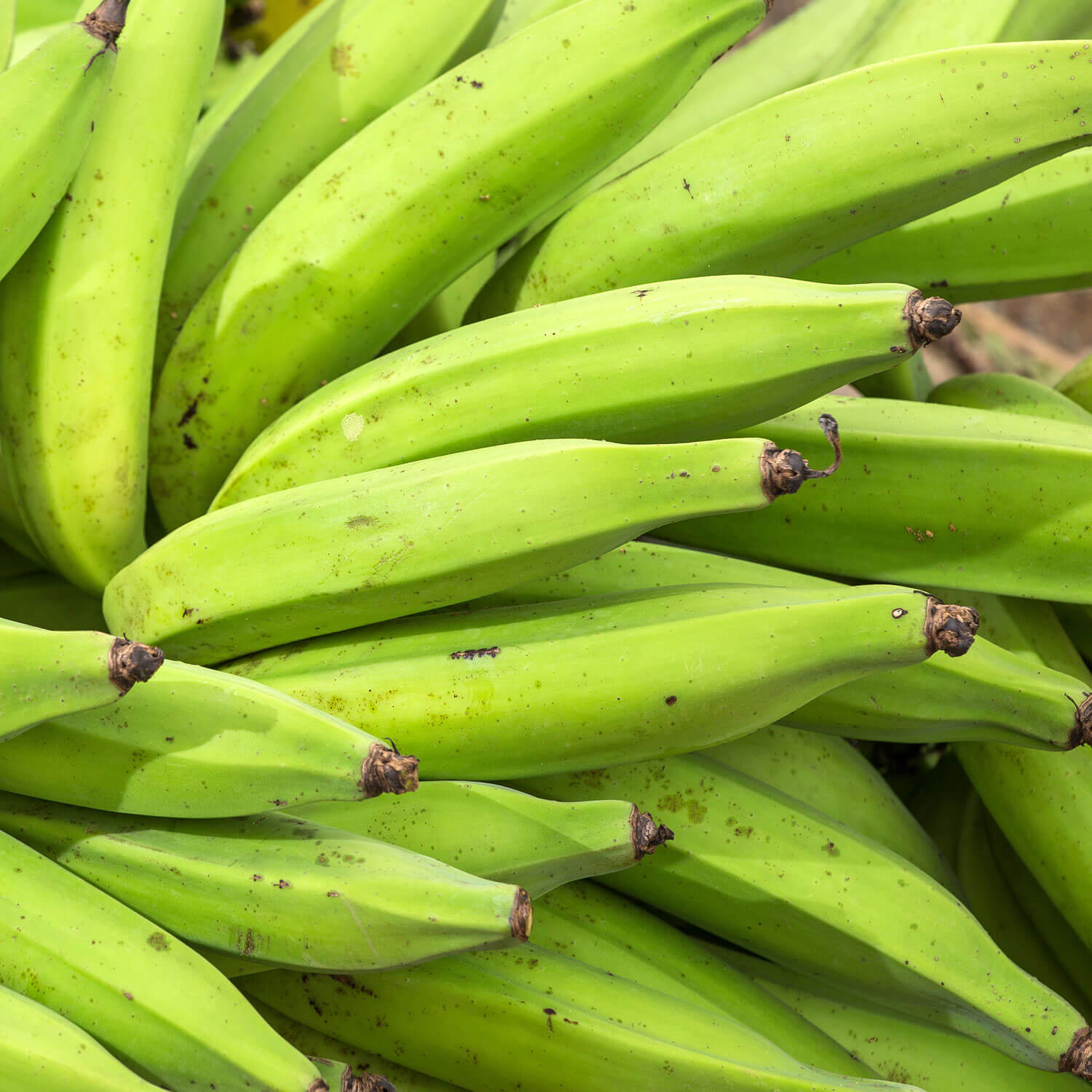 Organic Plantains Baked Ripe Slices