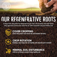 Regenerative Strawberries Roots