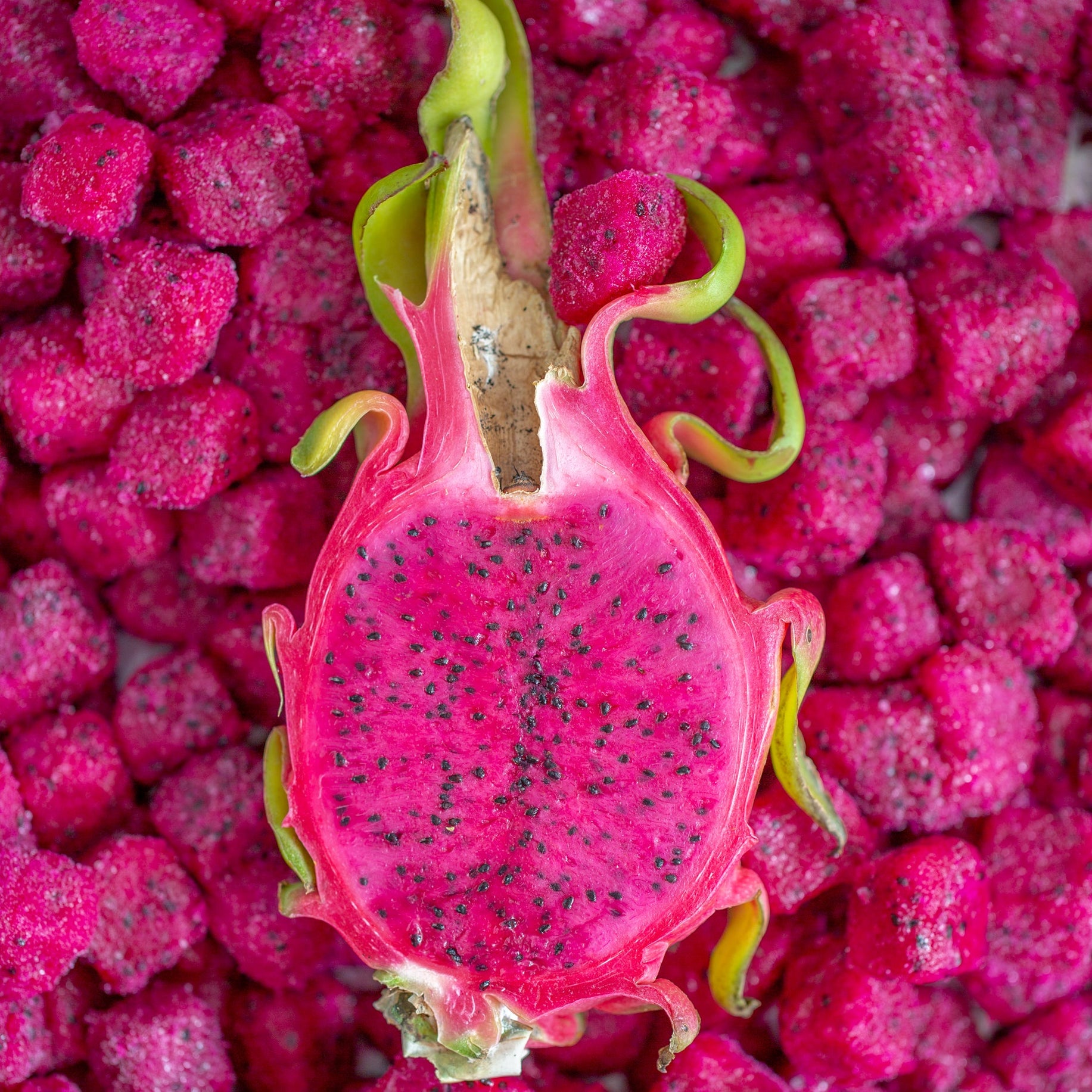 Organic Dragon Fruit Snack-Sized Pieces