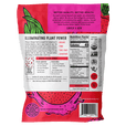 Organic Dragon Fruit Powder 4oz