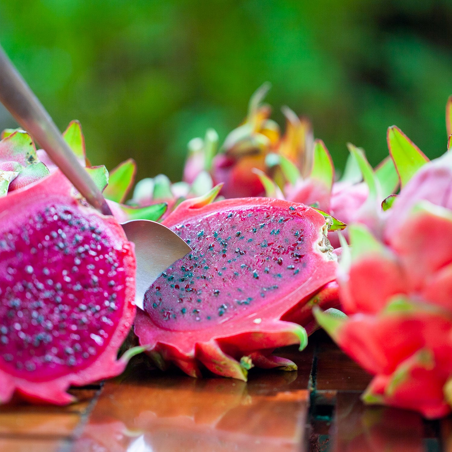 Dragon Fruit Smoothie - Plantsapalooza