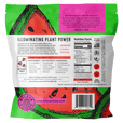 Natural Watermelon Snack-Sized Pieces Case